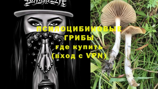 ALPHA PVP Волосово